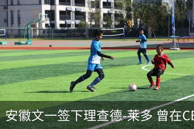 安徽文一签下理查德-莱多 曾在CBA单场砍54+15
